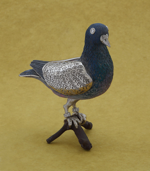 Pigeon