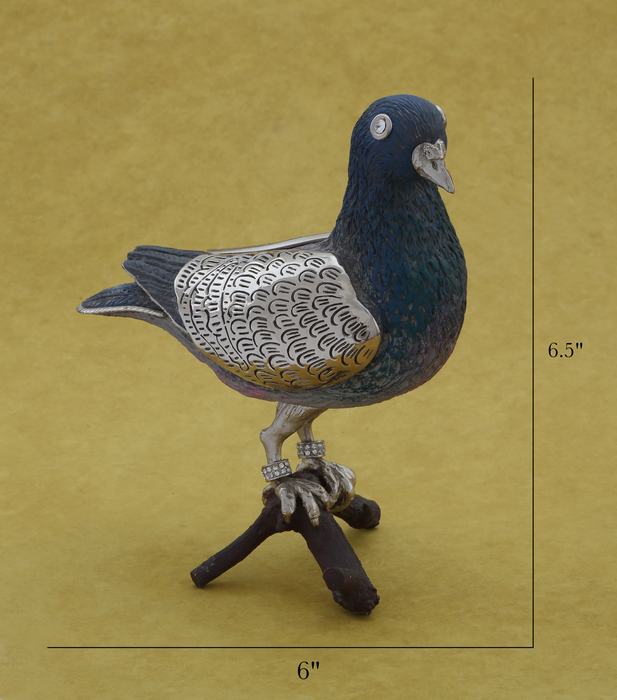 Pigeon