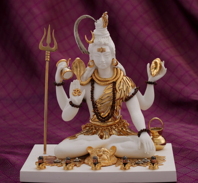 Shiva With Five shiv ling (sitting)