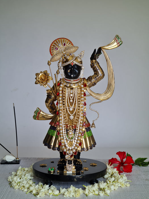 Ornamental Srinath (large)