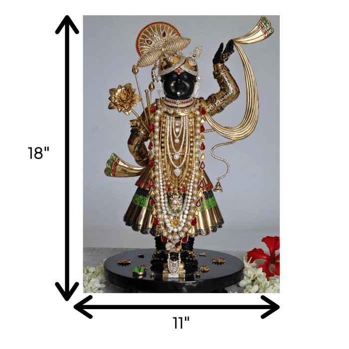 Ornamental Srinath (large)